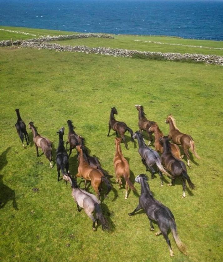 Lanelodge Village Doolin
